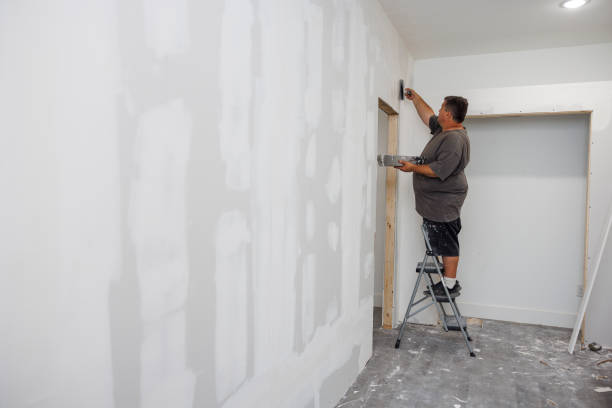 Best Mold Damage Restoration  in Reno, TX