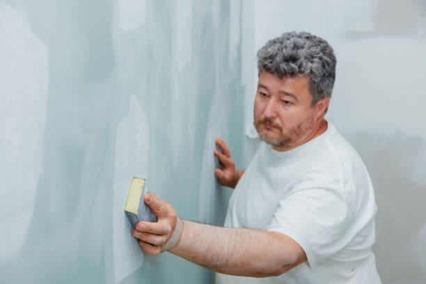 Best Basement Mold Removal  in Reno, TX