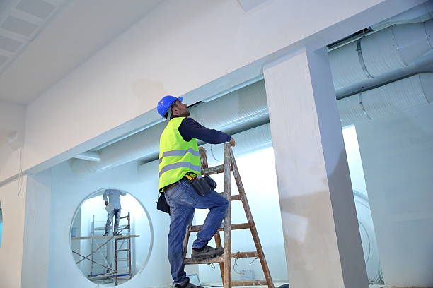Best Water Damage & Mold Remediation  in Reno, TX