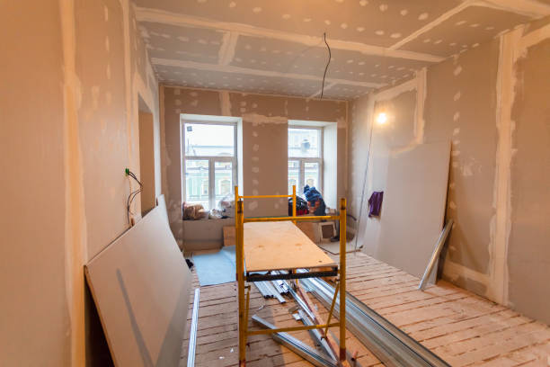  Reno, TX Mold Removal Pros